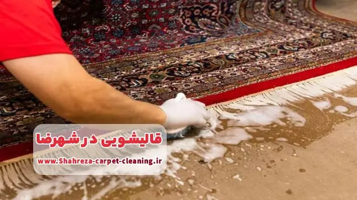 لیست بهترین قالیشویی های شهرضا